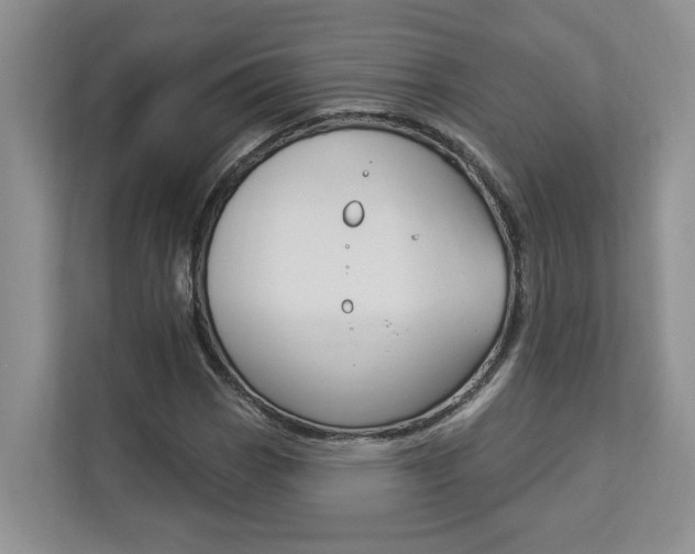 X0000112891113200908211025