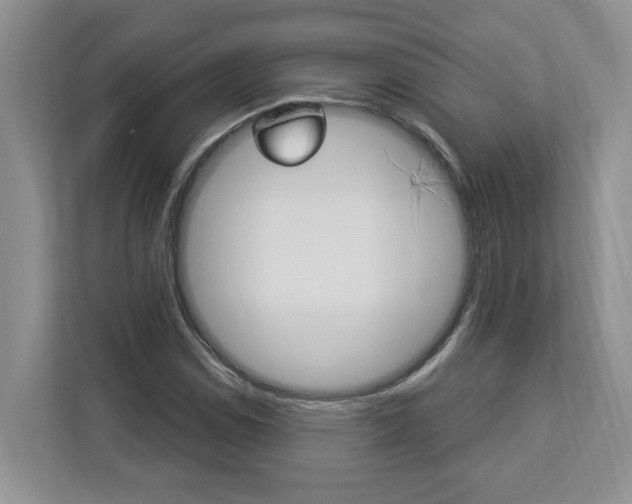 X0000112891114200908211025