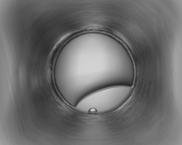 X0000112891115200908211025