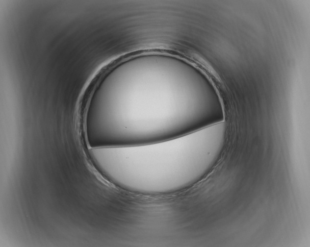 X0000112891116200908211025