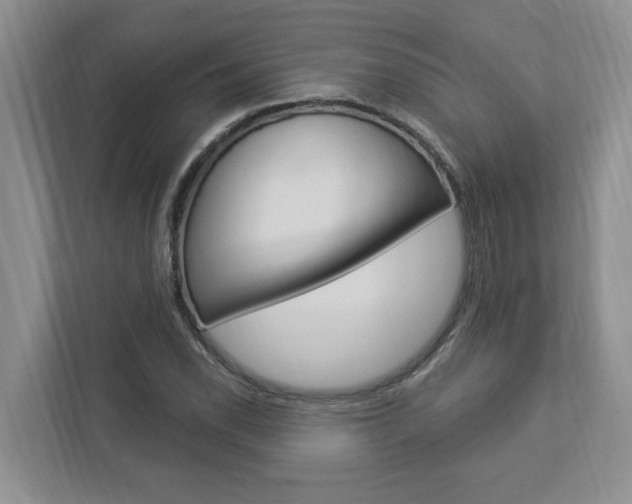X0000112891118200908211025