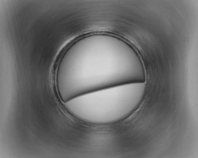 X0000112891119200908211025
