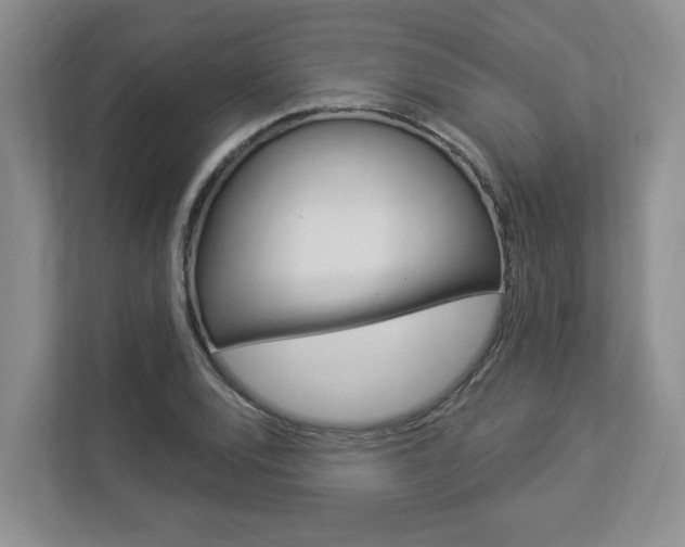 X0000112891120200908211025