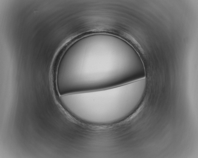 X0000112891122200908211025