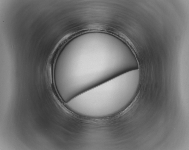 X0000112891123200908211025