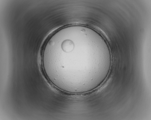 X0000112891125200908211025