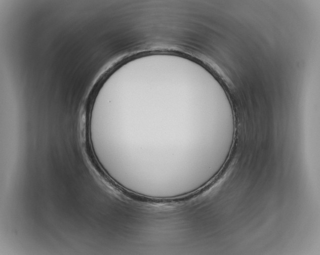 X0000112891126200908211025