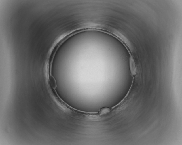 X0000112891128200908211025
