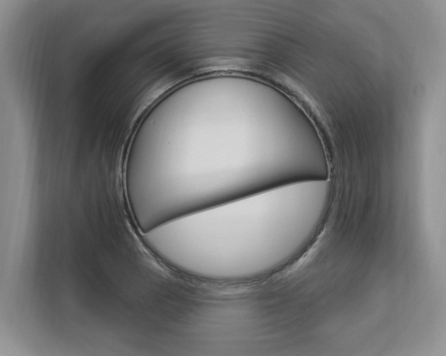 X0000112891129200908211025