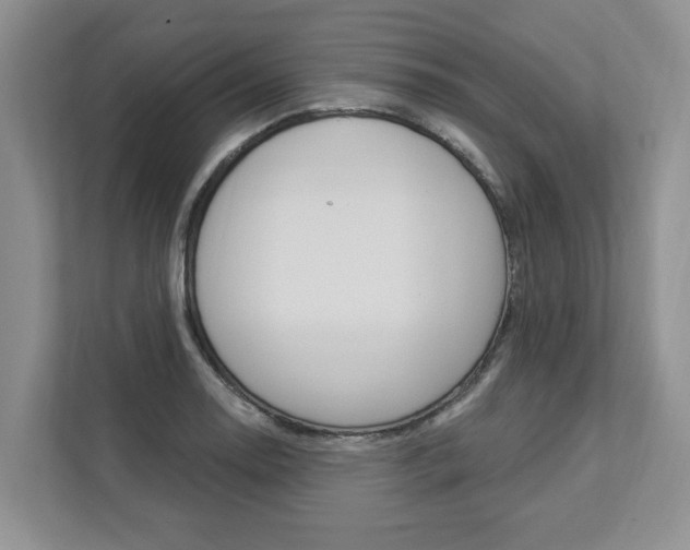 X0000112891130200908211025