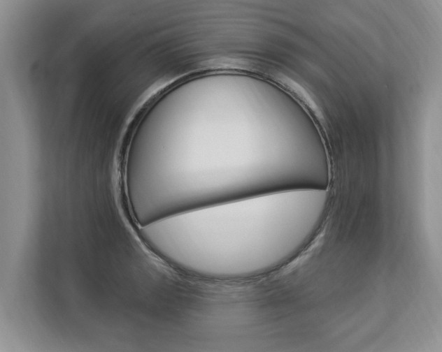 X0000112891133200908211025