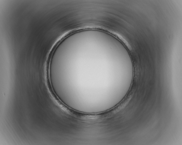 X0000112891134200908211025