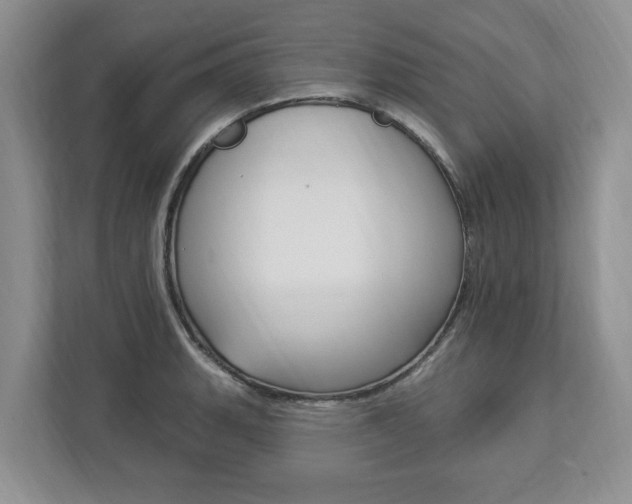 X0000112891135200908211025