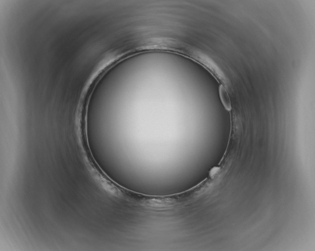 X0000112891138200908211025