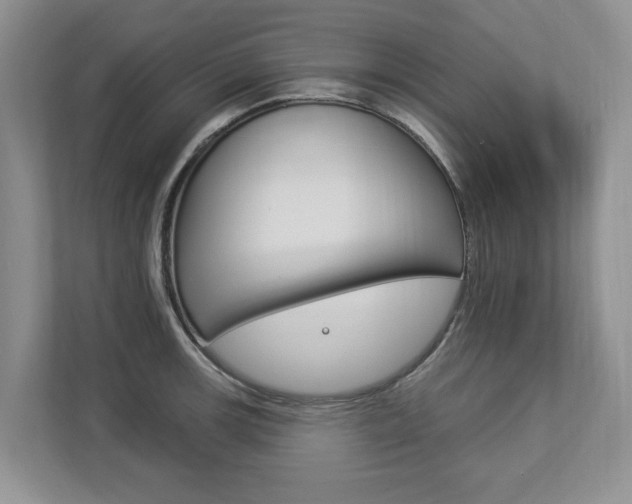 X0000112891139200908211025