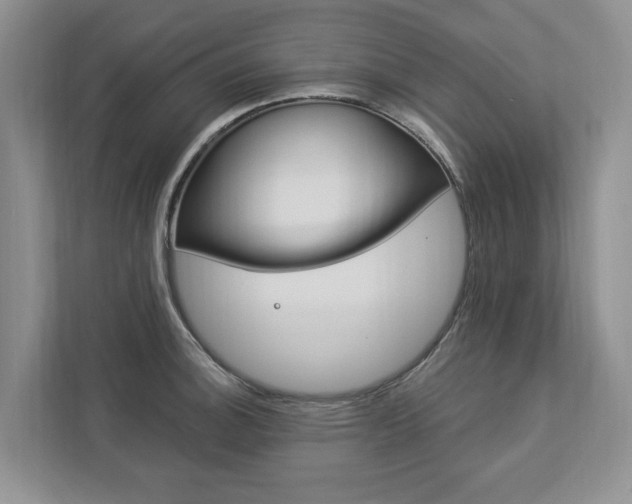X0000112891140200908211025