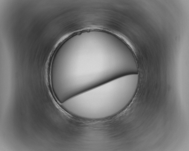 X0000112891143200908211025
