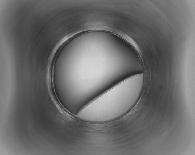 X0000112891144200908211025