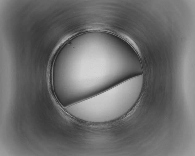 X0000112891146200908211025