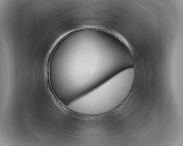 X0000112891148200908211025