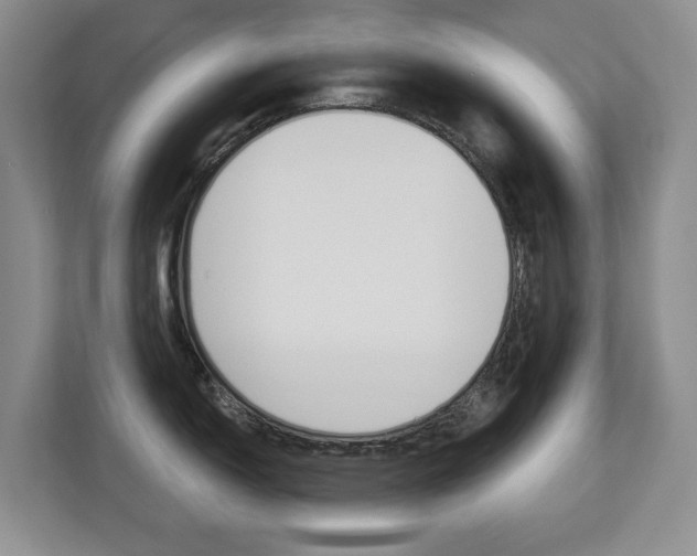 X0000112891150200908211025