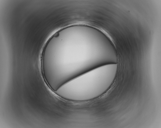 X0000112891151200908211025