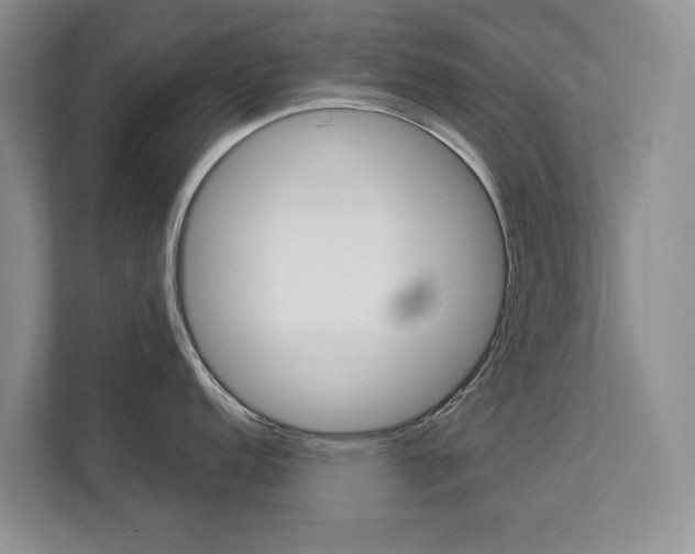 X0000112891152200908211025