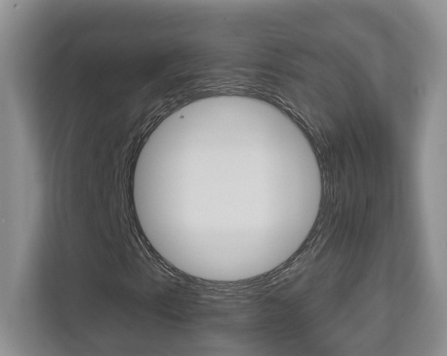 X0000112891153200908211024