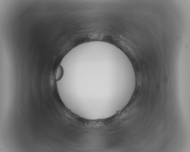 X0000112891154200908211024