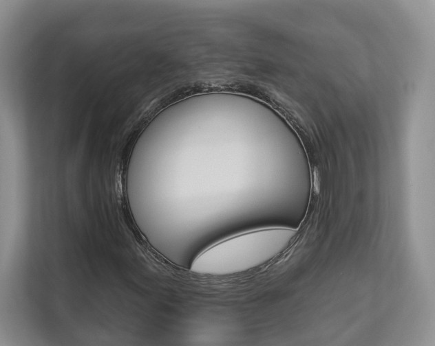 X0000112891155200908211024