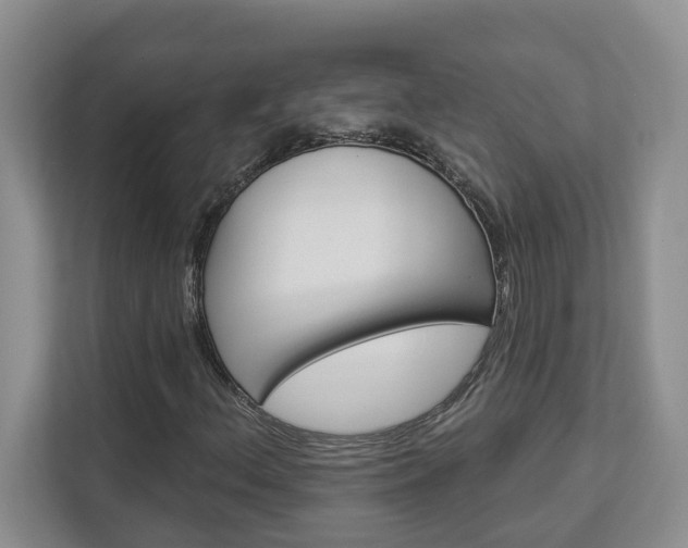 X0000112891156200908211024