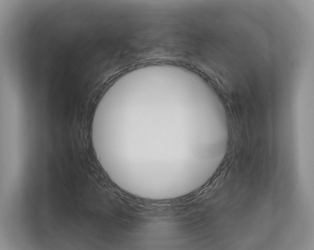 X0000112891157200908211024