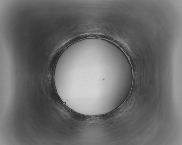 X0000112891159200908211024