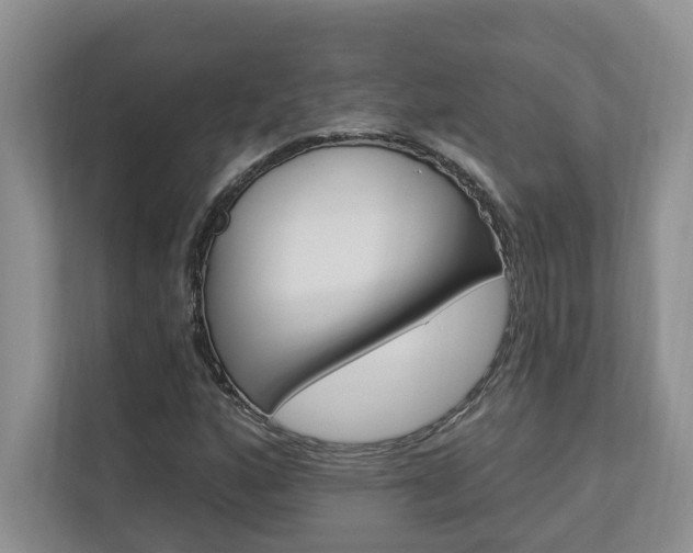 X0000112891160200908211024