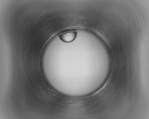 X0000112891162200908211024