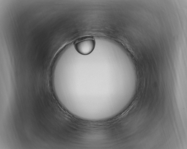 X0000112891165200908211024
