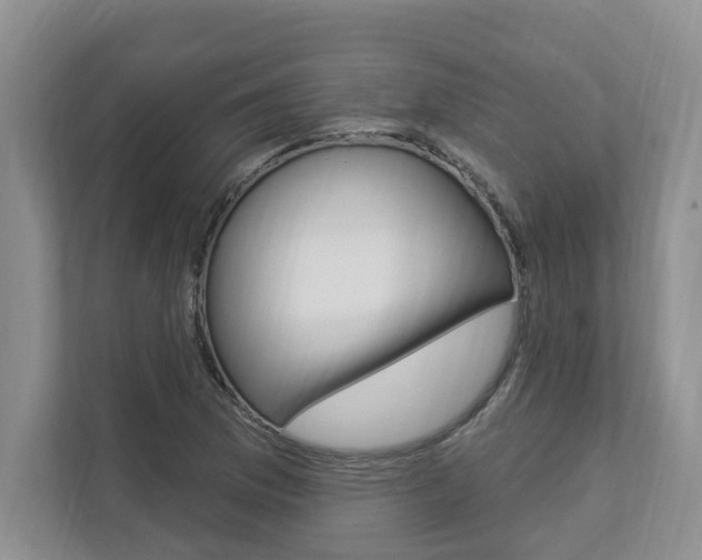 X0000112891169200908211024