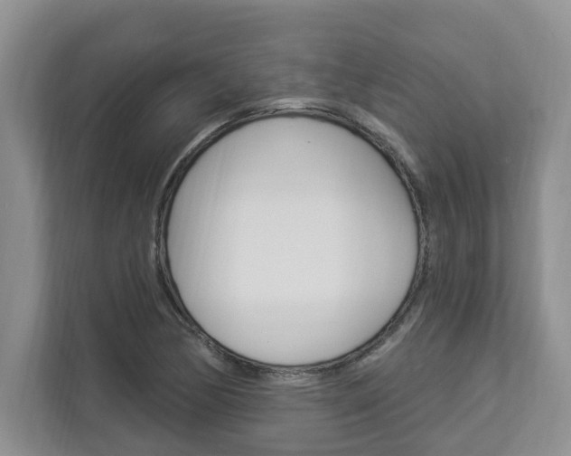 X0000112891170200908211024