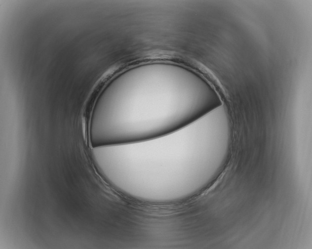 X0000112891171200908211024