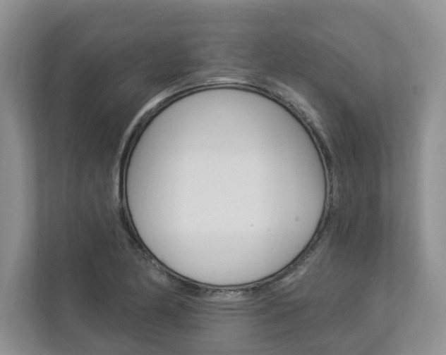 X0000112891174200908211024