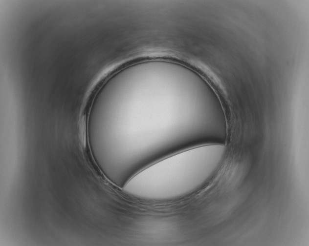 X0000112891175200908211024