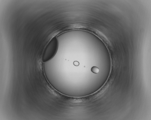 X0000112891177200908211024