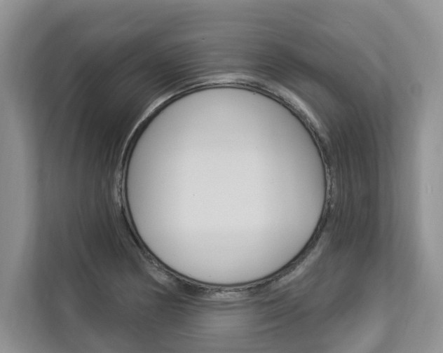 X0000112891178200908211024