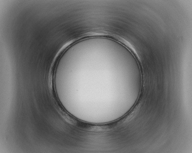 X0000112891179200908211024