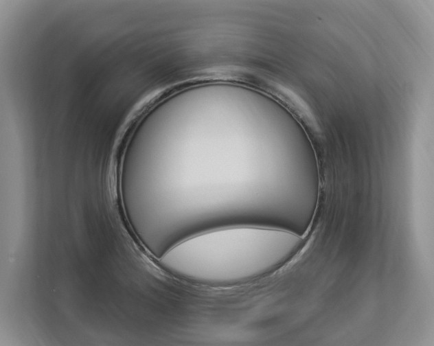 X0000112891180200908211024