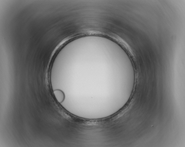 X0000112891182200908211024