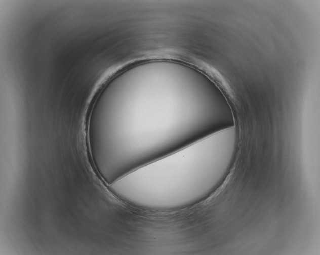 X0000112891184200908211024