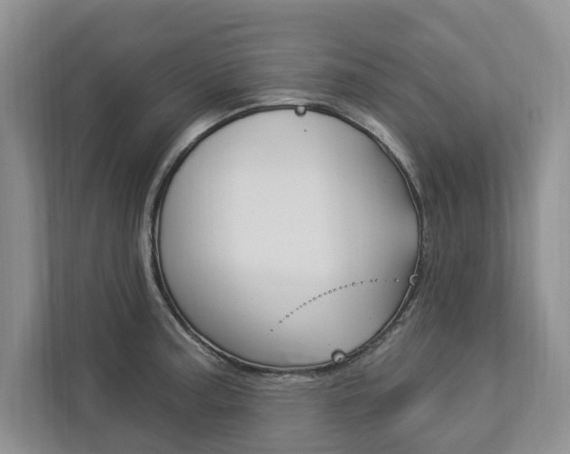 X0000112891187200908211024
