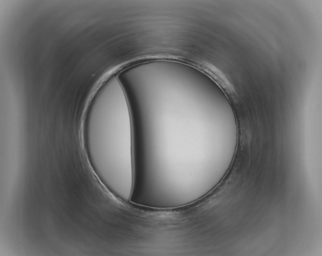 X0000112891188200908211024