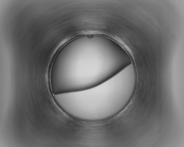 X0000112891189200908211024